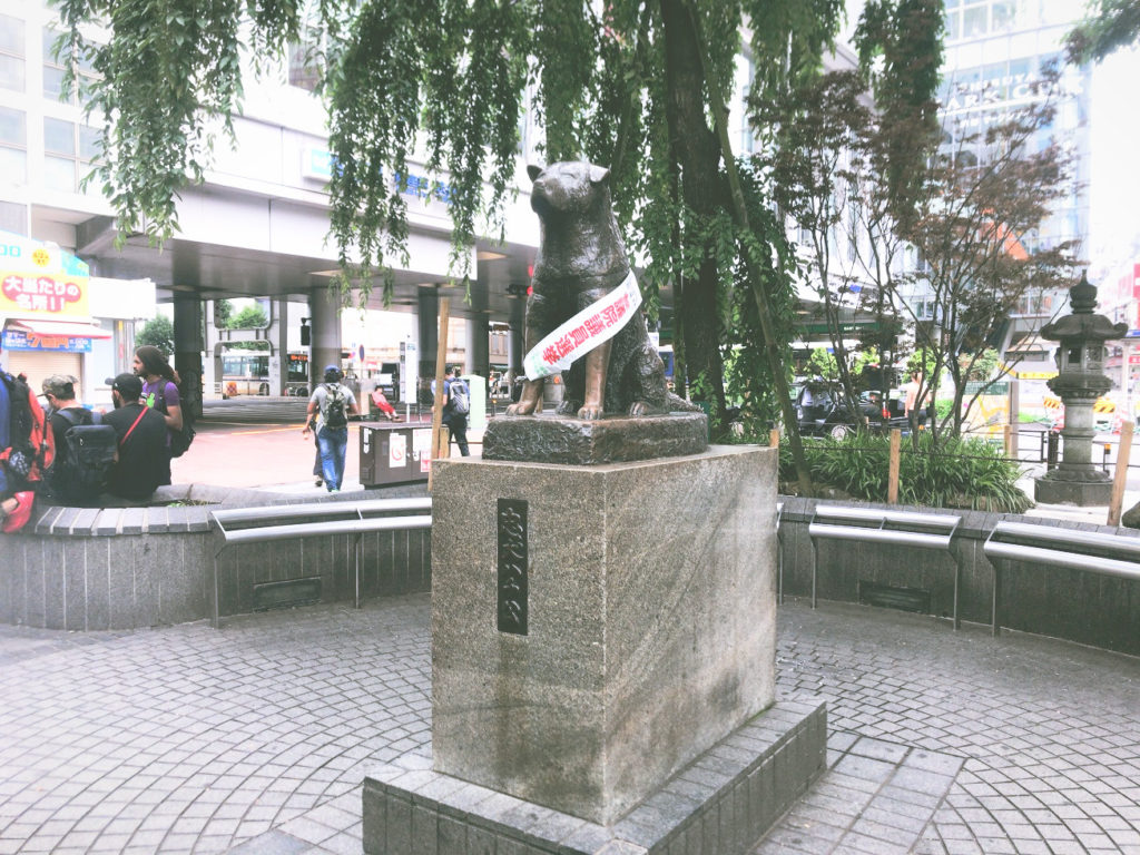 アラサー女子フィンクダイエット家庭教師体験談