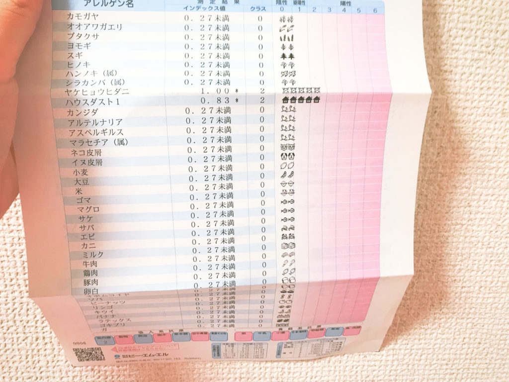 アラサー女子フィンクダイエット家庭教師体験談