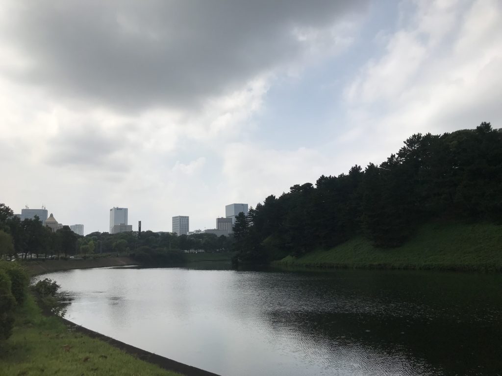 アラサー女子フィンクダイエット家庭教師体験談
